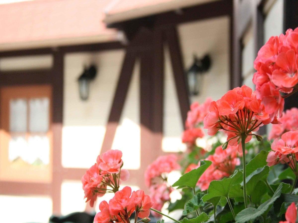 Hotel Schuetzen Bad Peterstal-Griesbach Dış mekan fotoğraf